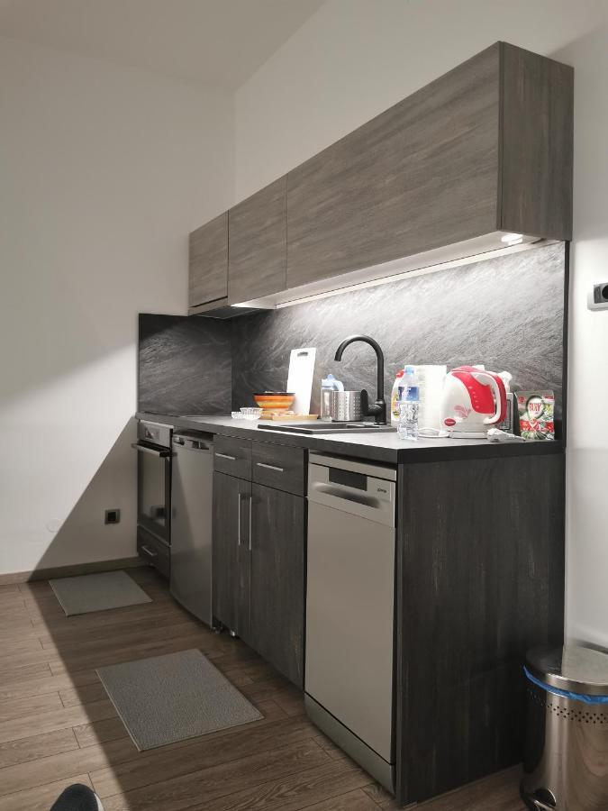Apartman Pavlovic 1 Dedinje Εξωτερικό φωτογραφία